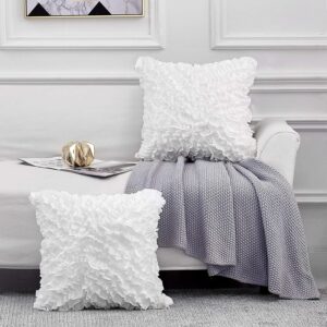 Leeden Throw Pillow Covers 18 x 18 Square Set of 2 Decorative Pillowcase Cushion Cases