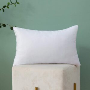 MIULEE Throw Pillow Insert Hypoallergenic Premium Pillow Stuffer 12x20"