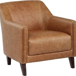 Stone & Beam Grover Modern Living Room Accent Chair