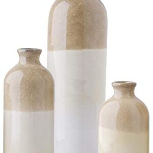 TERESA'S COLLECTIONS Ceramic Rustic Vase for Home Decor, Set of 3