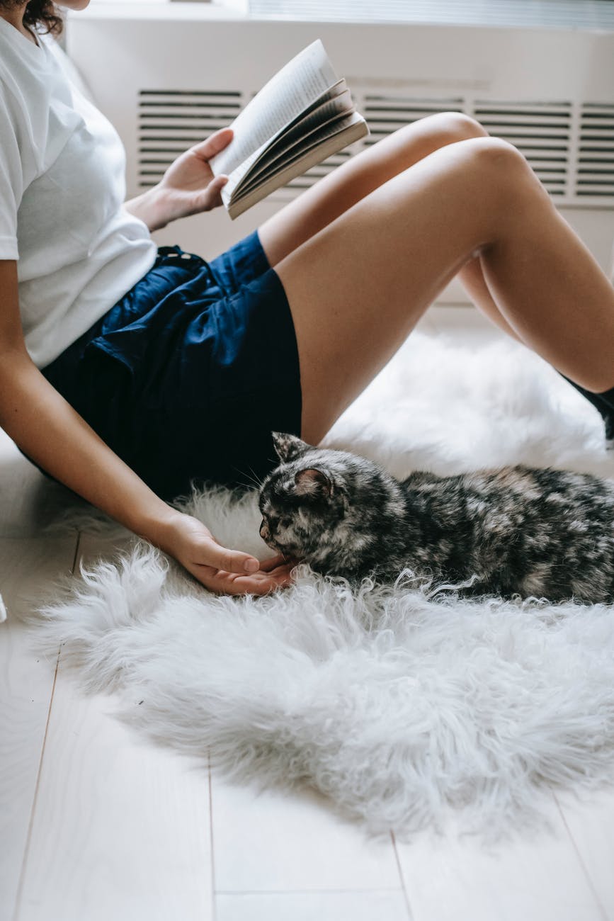 relaxed woman with book and cat on carpet