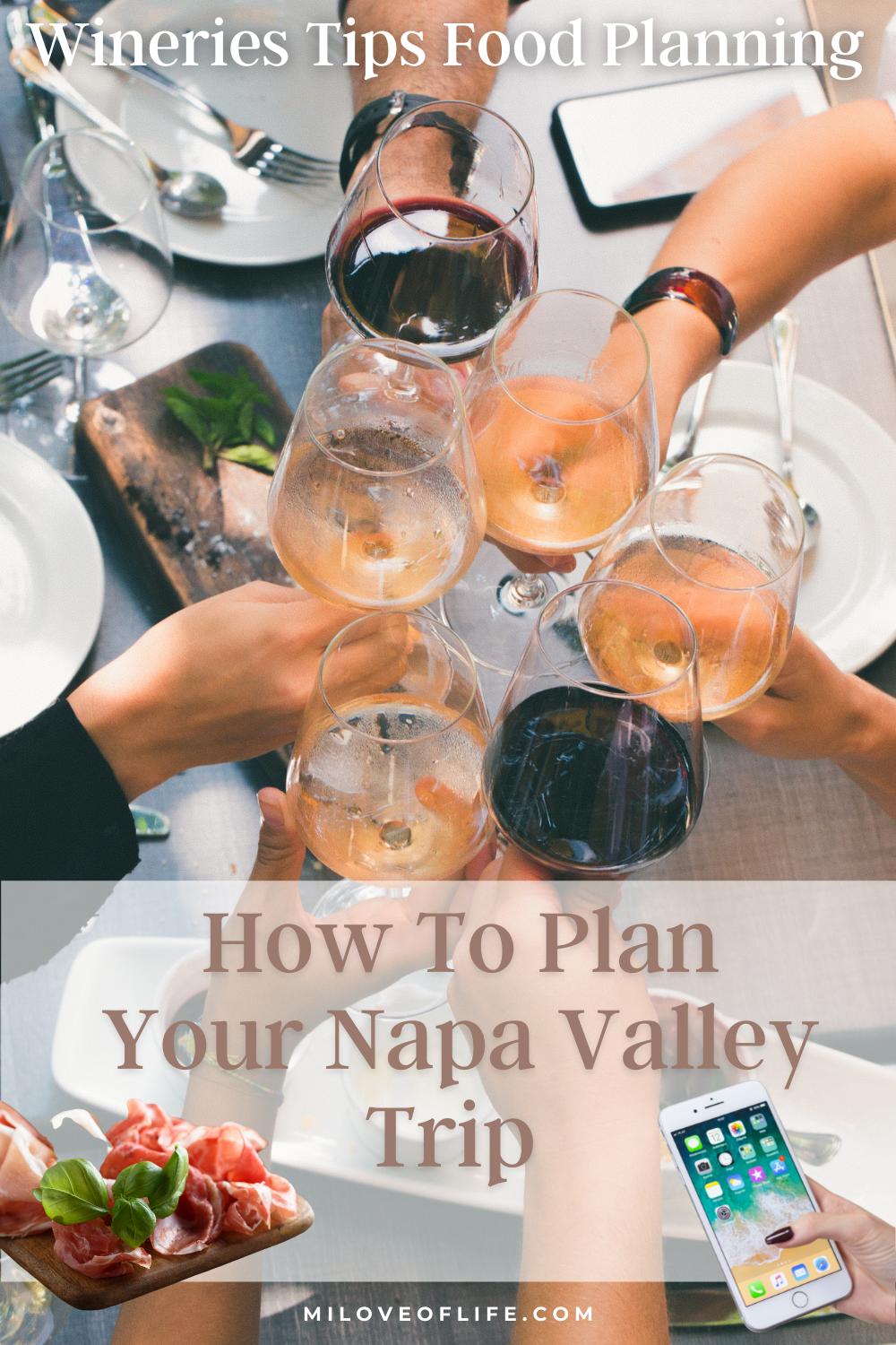 napa Valley wine tasting